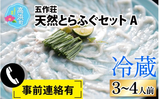 五作荘 天然とらふぐセットA 3～4人前 | 冷蔵配送 ※発送前に在宅確認の電話連絡をいたします 天然 ふぐ刺し ふぐ鍋 てっちり鍋 てっさ てっちり フグ鍋 ふぐ 河豚 フグ とらふぐ トラフグ 鍋セット 若狭フグ 若狭ふぐ