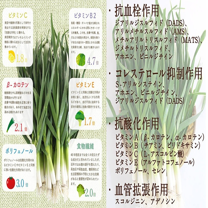 有機葉ニンニクと四万十豚で作った最高級餃子（6個x8パック）完全無添加