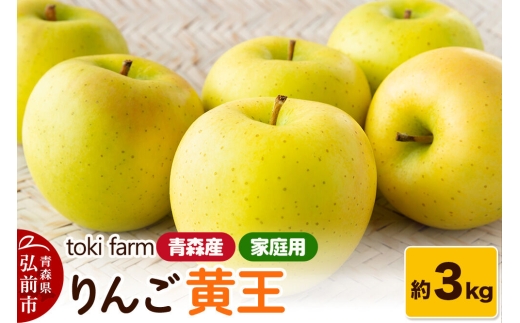 【26年8月～クール便発送】りんご 黄王（きおう）約3kg（8～12玉程度）家庭用 toki farm [クール便 アップル おいしい りんご 果実 果物 美味 林檎 青森県 弘前市]