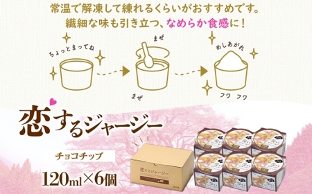 【ジェラート醍醐桜】恋するジャージー チョコチップ 6個セット / 岡山 真庭 醍醐桜 極上スイーツ 濃厚 プレゼント 贈答 デザート ギフト ジャージー牛 ミルク チョコレート ジェラート おやつ 
