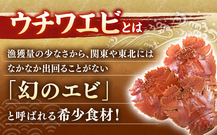 ウチワエビ しゃぶしゃぶ A(刺身200g 半身400g ポン酢80ml)【ひばり】[KAA059]/ 長崎 平戸 魚介類 海老 エビ ウチワエビ 季節限定 ご当地 グルメ 刺身 しゃぶしゃぶ