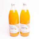 【ふるさと納税】とろり　みかんネクター1000ml×2本【無添加100%ストレートジュース】【有田みかんジュース】