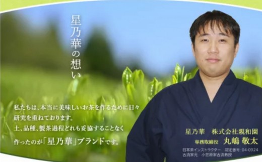 【C-132】八女星野茶 星乃憩 煎茶120ｇ×1 深蒸し茶120ｇ×1