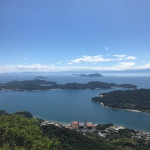 青いレモンの島　国産レモン約3kg(冷蔵便発送)※サイズはS玉～2L玉のいずれかもしくは混載【配送不可地域：離島】【1299053】