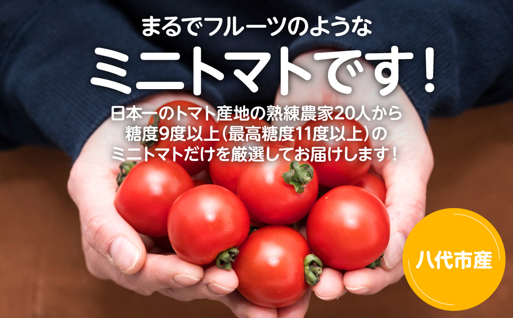 まるでフルーツの様なミニトマト 1.8kg トマト 甘い 国産 野菜 やさい