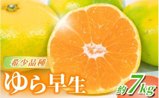 【先行予約】希少品種 ご家庭用 ゆら早生みかん約7kg サイズ混合【2026年10月上旬より発送】※北海道・沖縄・離島配送不可 / みかん ミカン 有田みかん 温州みかん 柑橘 有田 和歌山 産地直送  くだもの 果物 フルーツ 柑橘類 和歌山 すさみ町【nuk002F】