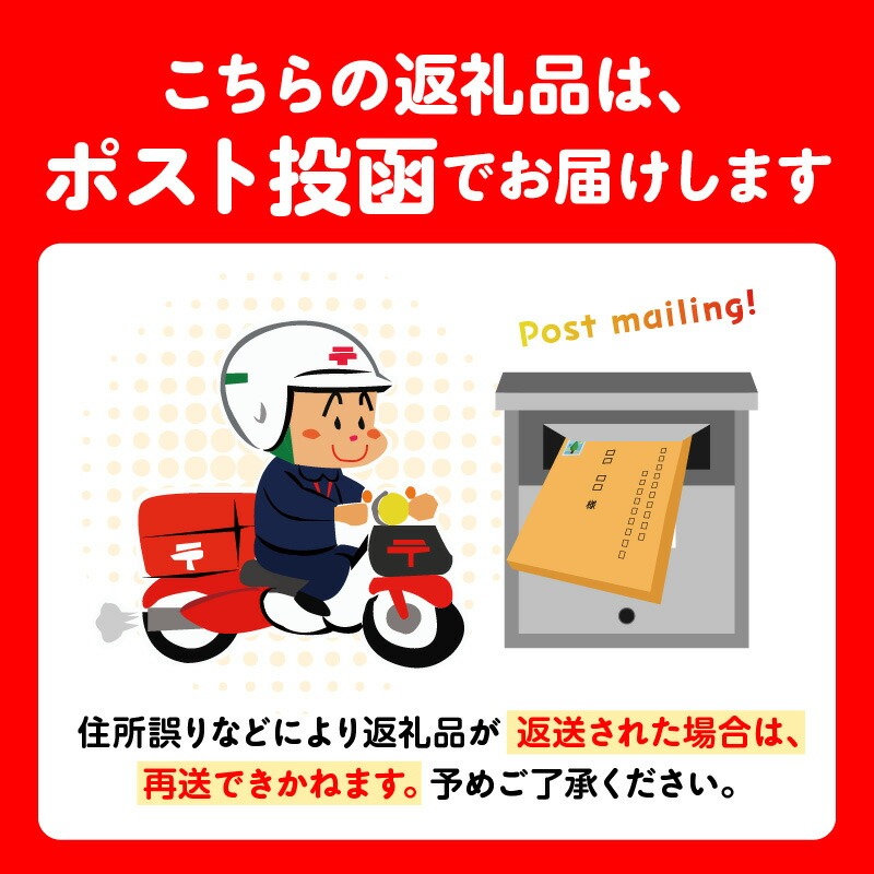 「羊羹 一人ひとり」 小豆　風の菓子 虎彦  N074-YZA082