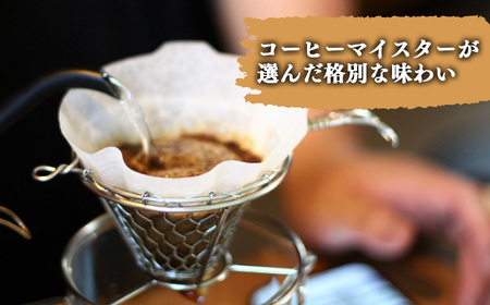 【 お試し 】 グアテマラ コーヒー ( 豆 ) 200g