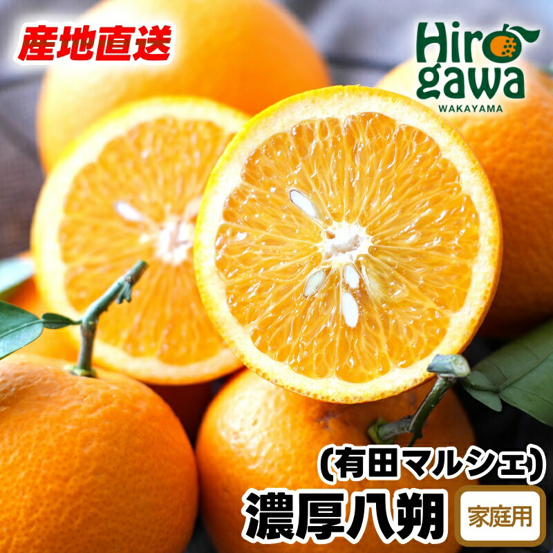 【ふるさと納税】【先行予約】 産地直送 濃厚 八朔 （ご家庭用）※2026年2月下旬～2026年3月下旬に順次発送 ※北海道・沖縄・その他離島地域は発送不可 / みかん 蜜柑 八朔 はっさく 柑橘 果物 くだもの 果実 フルーツ 国産 和歌山 //hassaku
