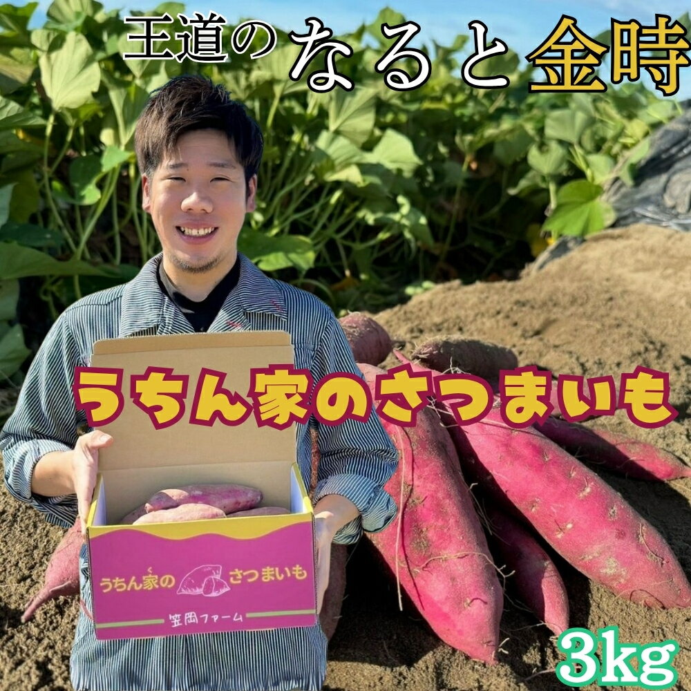 【ふるさと納税】 【笠岡ファーム】うちん家のさつまいも　3kg │なると金時 さつまいも 芋 お芋 スイーツ お菓子 徳島 鳴門