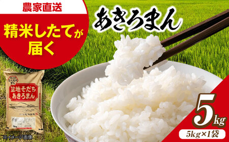 白米 あきろまん 5kg 最短3日発送 令和7年産 [APBM019] 白米