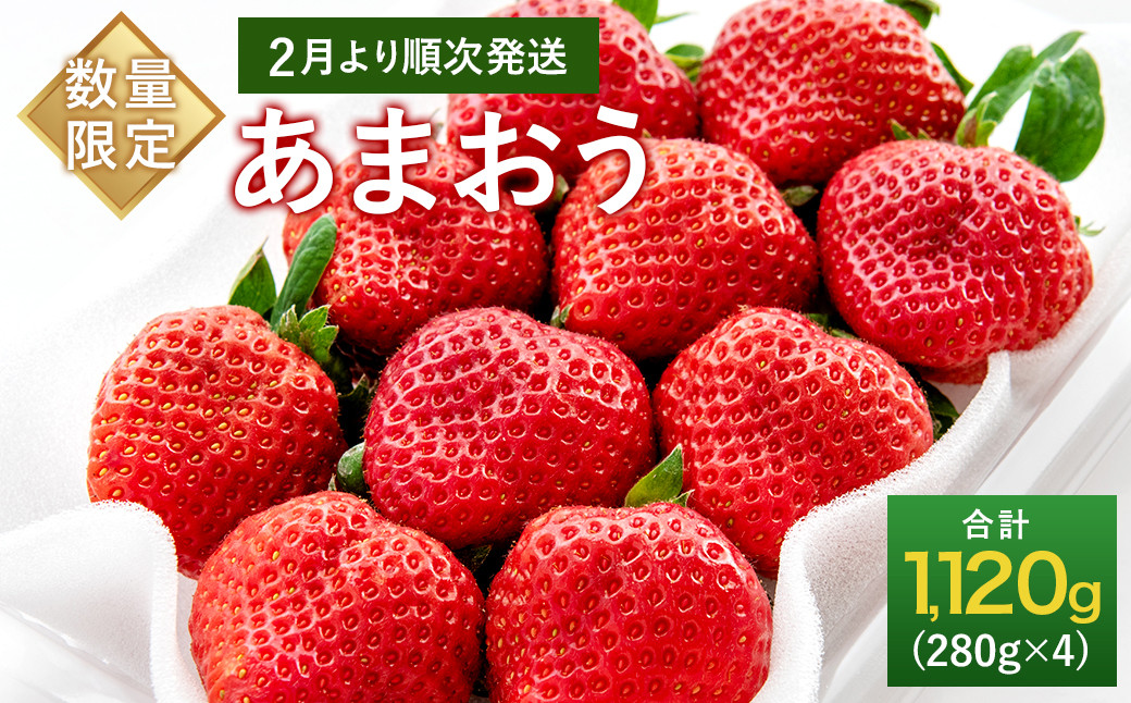 
            【数量限定】大粒 あまおう 約280g×4パック 計1.12kg いちご【2022年2月より発送】
          