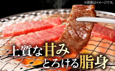 【全12回定期便】 葉山牛 焼肉用カルビ500g／ 牛肉 葉山牛 和牛 焼肉 カルビ 【有限会社葉山旭屋牛肉店】[ASAP040]