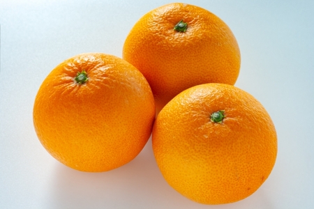 【先行予約】【訳あり】伊予柑 約10kg | 柑橘 みかん 果物 フルーツ 愛媛県産 農家直送　※離島への配送不可　※2026年1月中旬から順次発送予定  IKTAU002