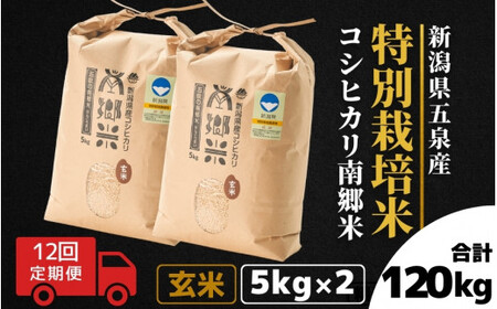 【令和6年産新米】〈12回定期便〉特別栽培米コシヒカリ「南郷米」玄米10kg（5kg×2袋）［2024年9月中旬以降順次発送］ 有限会社ファームみなみの郷