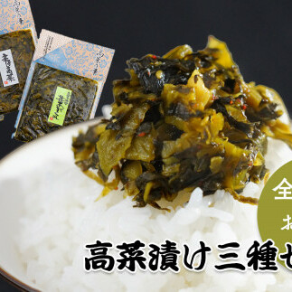 【6回定期便】高菜乃華 3個入りセット 高菜漬一筋-前田食品工業 辛子めんたい高菜 辛子高菜 葉がくれ F30-12