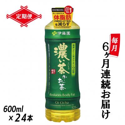 ふるさと納税 富士市 [定期便6回]お〜いお茶濃い茶PET600ml(1910)