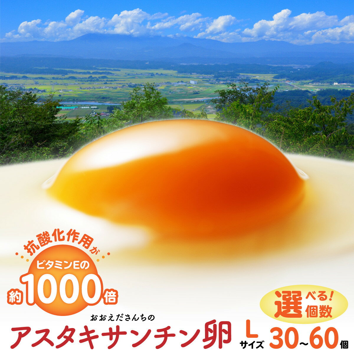 【ふるさと納税】 ＼高評価★5.00／卵 たまご 白卵 赤卵 Lサイズ 新鮮 御皇卵 アスタキサンチン 美肌 抗酸化 濃厚 こだわり 30個 50個 60個 おおえだファーム 白玉 赤玉 生卵 玉子 タマゴ たまごかけ ご飯 朝食 卵焼き 鶏卵 うまみ 食品 宮城県 角田市 送料無料