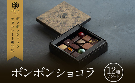 ボンボンショコラ チョコレート専門店 12種アソート ボンボンショコラ【12種】