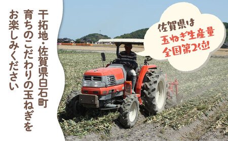 玉ねぎ 約5kg / 玉ねぎ [IBQ010]