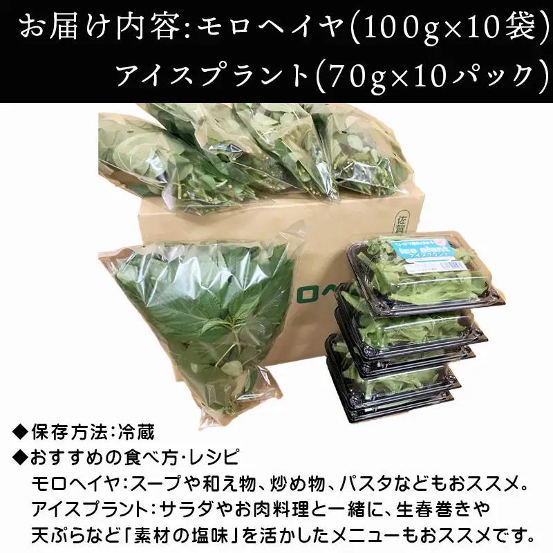 『先行予約』【12月上旬より順次発送】冬穫れハウスモロヘイヤ(100g×5袋)とアイスプラント(70g×5P)セット 2箱