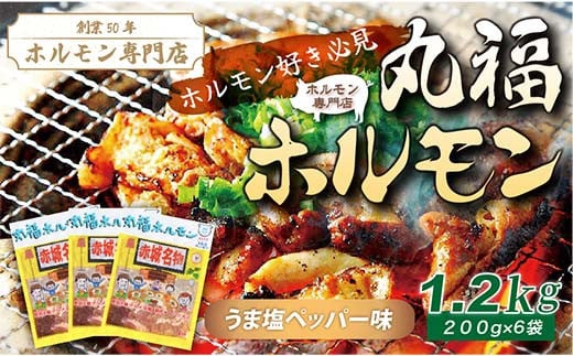 【定期便・全2回】焼くだけ簡単「丸福ホルモン (うま塩ペッパー味)」定期便 合計2.4kg（1.2kg×2回）｜豚ホルモン 豚⾁ 焼⾁ BBQ ガツナンコツ レバー ⽩モツ ⼤トロ ちょい飲み 味付き 冷凍便 F4H-0498