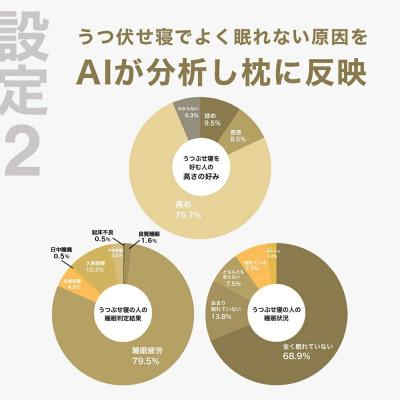 ふるさと納税 我孫子市 うつ伏せ寝を好む人向け枕 THE PILLOW Preset 09 Utsubuse |  | 02