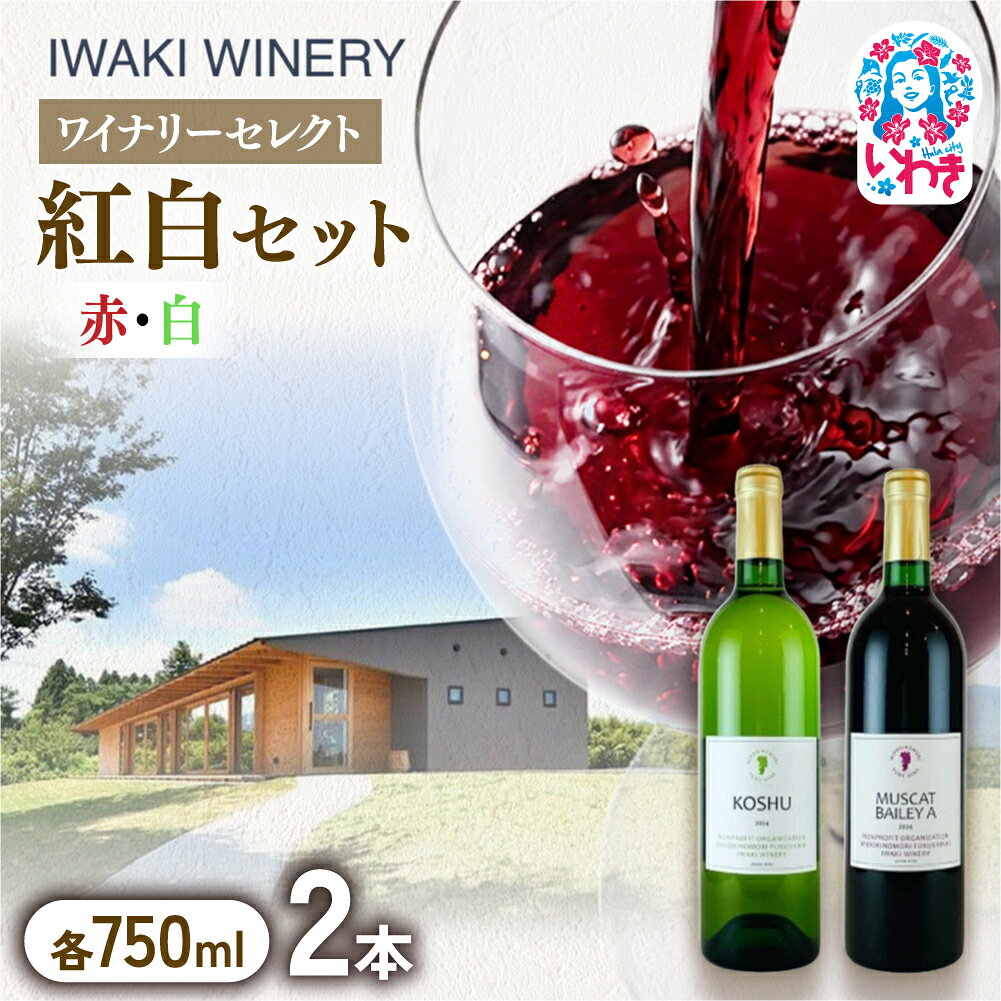 【ふるさと納税】いわきワイナリー 紅白セット 750ml×2本 | いわきワイナリー 紅白セット ワインセット いわき市 いわきワイナリー 日本ワイン 国産ワイン 赤ワイン 白ワイン ワイン 飲み比べ ワイナリー醸造 国産ぶどう 2本セット いわき産ぶどう | CR003