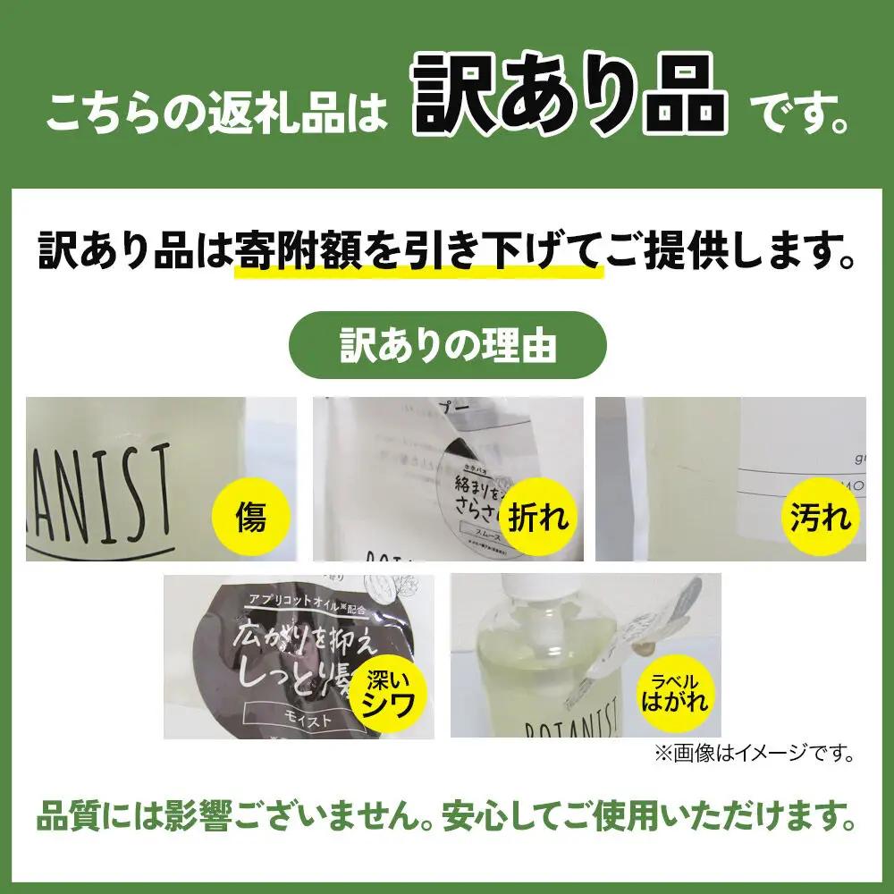 《訳あり》BOTANIST ボタニスト ボタニカル トリートメント 【スムース】（大容量詰替）2個