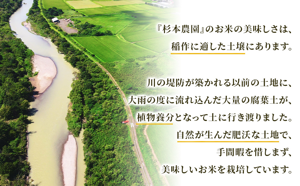 【令和8年産新米予約】【定期便8回】ななつぼし玄米2kg≪杉本農園≫