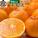 【ふるさと納税】＜2月より発送＞家庭用 不知火4kg+120g（傷み補償分）【デコポンと同品種・人気の春みかん】【わけあり・訳あり】【光センサー選別】