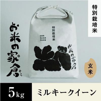 ふるさと納税 長浜市 【新米:令和7年産】滋賀県長浜市　プチプチ食感!特別栽培　ミルキークイーン　5K玄米