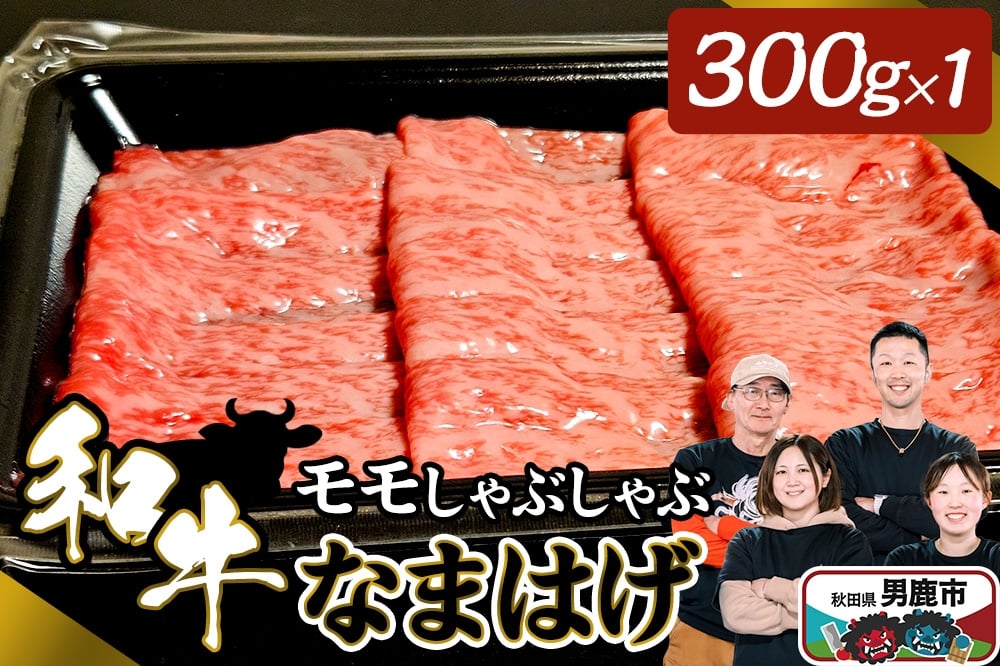 
            和牛なまはげ モモしゃぶしゃぶ 300g 大進農場
          