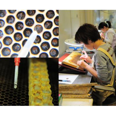 ふるさと納税 富田林市 100g　国産はちみつ　生ローヤルゼリー　ローヤルゼリー専門養蜂場で採取　 |  | 01