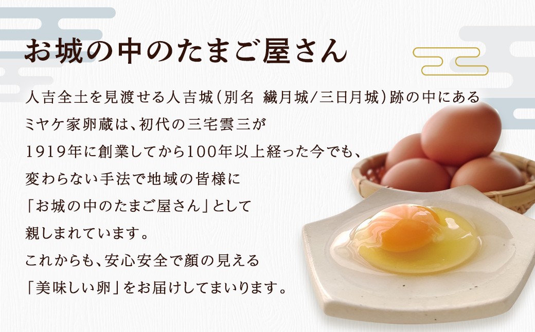 【定期便 年6回】球磨球子 40個入×6回 鶏卵