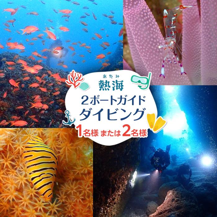 【ふるさと納税】【ライセンス保持者・経験50本以上限定】 チケット 体験利用券 ダイビング 2ボートガイド 熱海 1名様 2名様 | スキューバ ダイビング ライセンス Cカード 海 マリンスポーツ 癒し 伊豆半島 熱海 サンゴ 1名 2ボート 人気 おすすめ 送料無料　券 金券