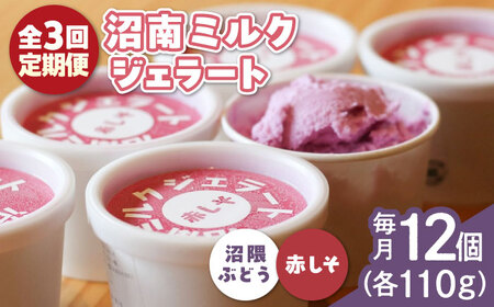 【全3回定期便】沼南ミルクジェラート 沼隈ぶどう＆赤しそ　各6個 [BAEC050]ジェラート