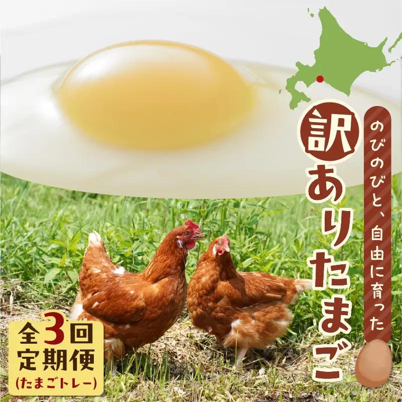 【 全3回 定期便 】 訳あり たまご （ たまごトレー ） T074-T02 卵