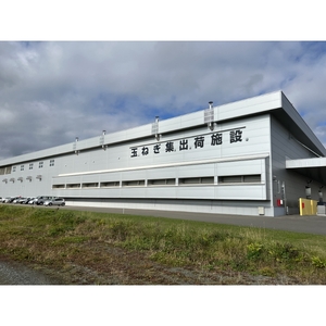 【予約：2025年9月上旬から順次発送】JAきたみらい産 玉ねぎ Lサイズ 20kg ( タマネギ たまねぎ 野菜 )【210-0002】