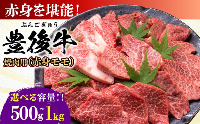 
            【選べる容量】おおいた豊後牛 赤身モモ 焼肉用 500g or 1kg(500g×2P)  日田市 / 株式会社MEAT PLUS　牛 うし 黒毛和牛 和牛 豊後牛 [AREI019-020]
          