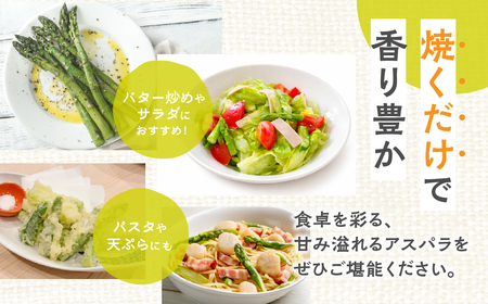 お米農家がつくったアスパラガス L~2L 500g 飛騨市 池本農園 アスパラガス