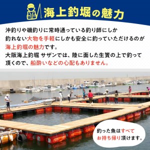 【泉南・樽井漁港】釣掘りサザン 一基貸切利用券 12名様まで 釣り堀 釣掘 貸切 海上釣堀 生簀 いけす 魚 体験 チケット フィッシング【044A-001】
