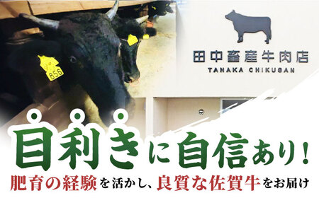 【全3回定期便】佐賀牛赤身スライス500g HBH059 赤身 スライス 佐賀牛 国産 定期便