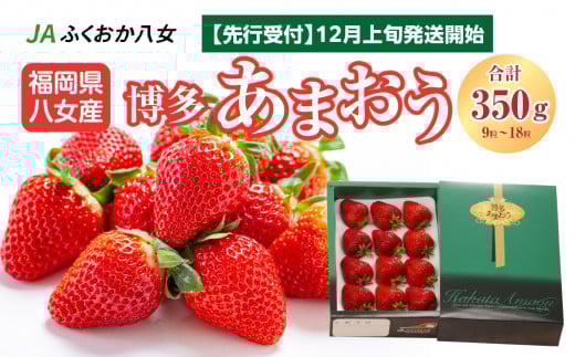 先行受付【2025年12月発送開始】博多あまおう350g（化粧箱）｜ＪＡふくおか八女 先行受付 あまおう いちご 苺 イチゴ フルーツ 果物 くだもの 人気  旬 福岡県産 アフター補償 ギフト 化粧箱入り 贈答品 プレゼント 贈り物 数量限定 期間限定 産地直送 デラックス 福岡県 八女市