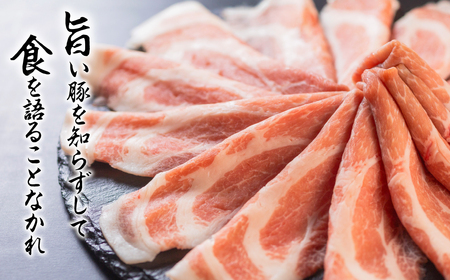 【12回 定期便】国産 豚肉 食べ比べ 500g × 3 計 1.5kg しゃぶしゃぶ用 ロース 肩ロース バラ 冷凍 田原ポーク 小分け 100g ずつ 個包装 定期便