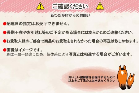北海道産 健酵豚 ハンバーグ 12個