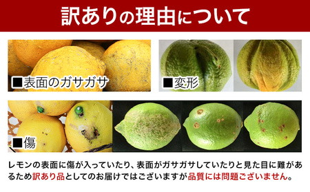 訳あり 国産レモン 約2kg 《10月上旬-1月下旬頃出荷》ﾚﾓﾝﾚﾓﾝﾚﾓﾝﾚﾓﾝ