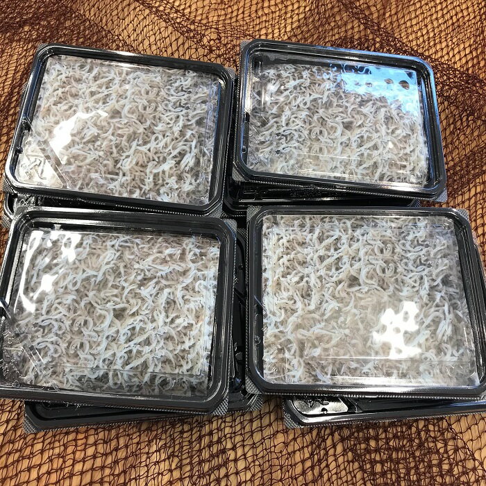 【ふるさと納税】釜揚げしらす（冷凍）80g×8パック＜あらはま海苔＞　魚貝類・しらす・釜揚げしらす