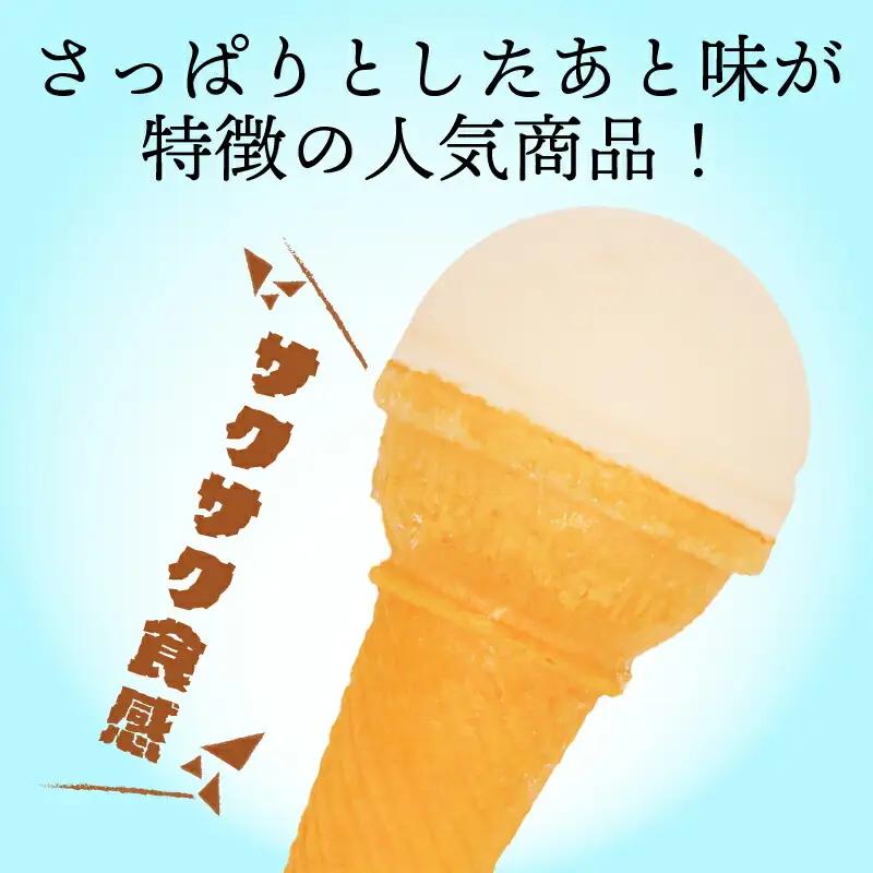 【アイス】南国土佐のアイスクリン 18個