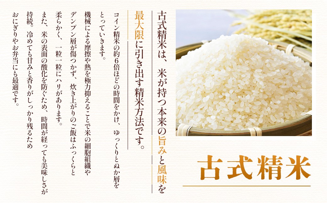 令和7年産 湯前町のお米「古式精米」5kg 【2025年11月下旬～2026年1月下旬迄発送】